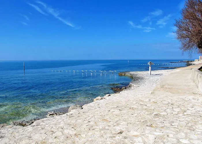 Darija By Interhome *